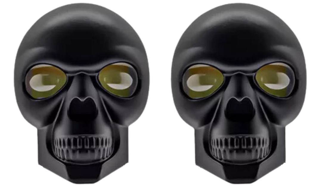 Par exploradoras calavera